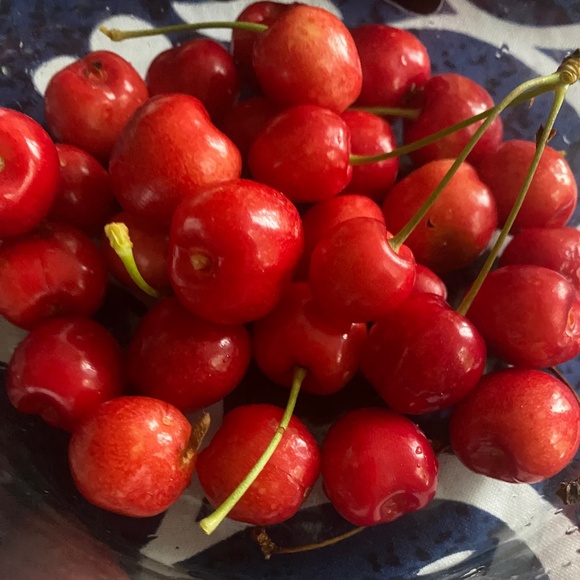 Cherry Print - Picture 1 of 1